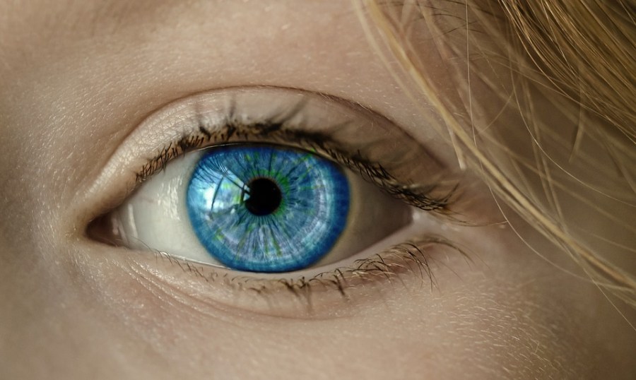clinical problem solvers vision loss