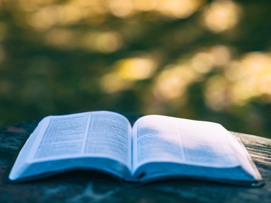 how to win scholarship essay contests