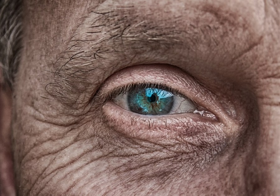 clinical problem solvers vision loss